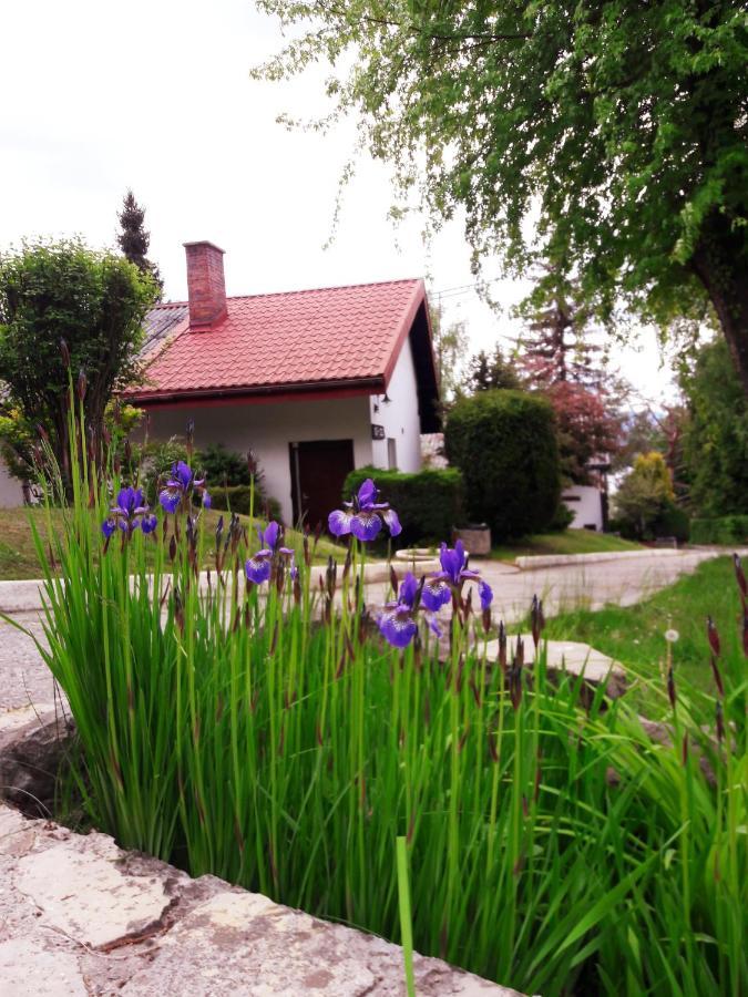 Centrum Wypoczynku Odys Tresna Kültér fotó